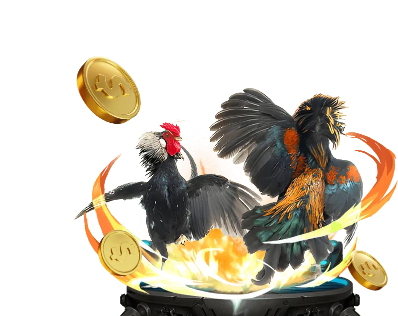 Đá Gà Mỹ, Đá Gà Peru